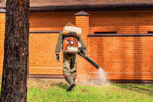 Trusted Ant Control service in Kerhonkson, NY - Nex Pest Control